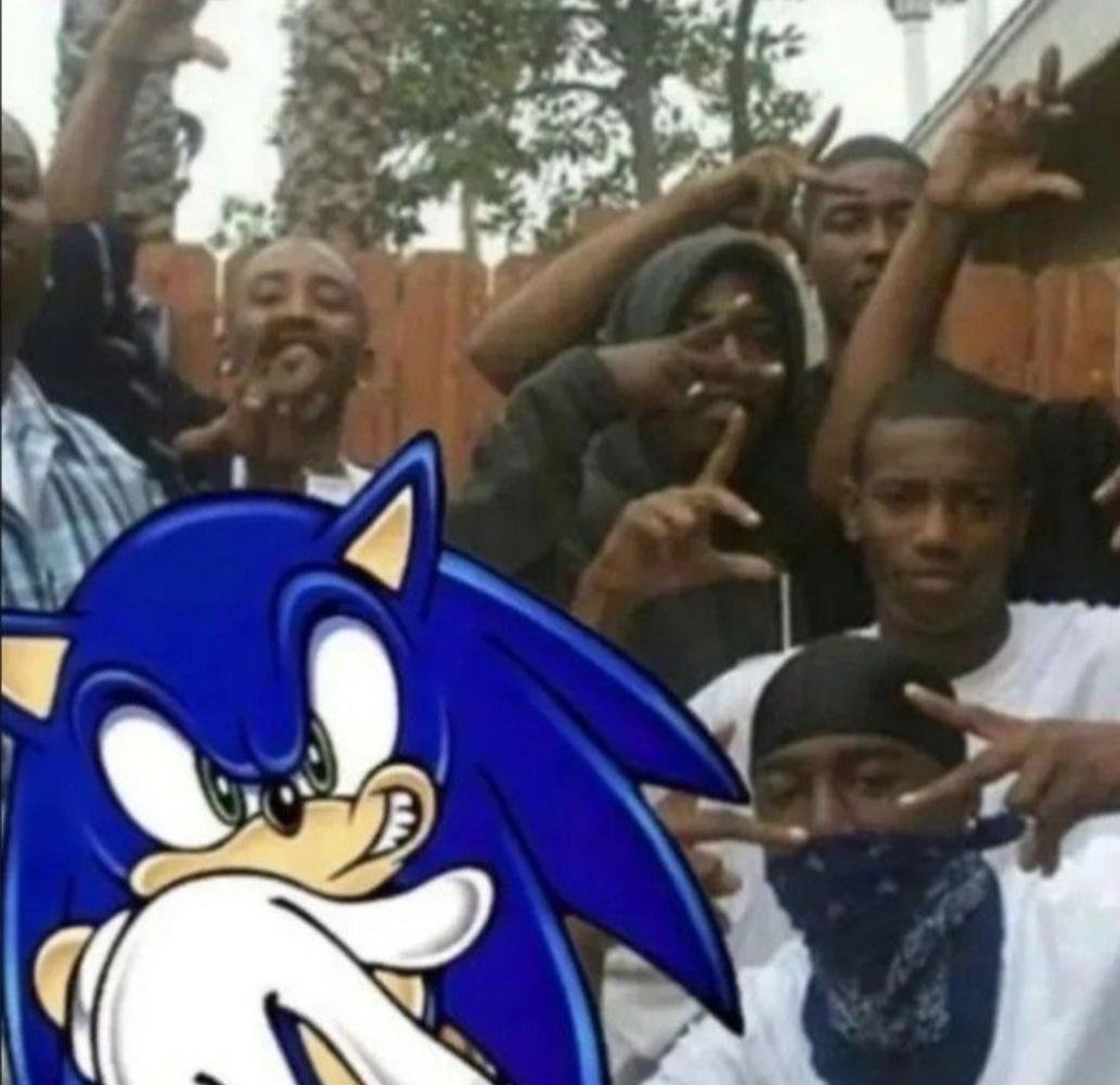 Fishen_'s tweet photo. I've always wanted to ratio Mila #sonic https://t.co/qrjzYQYeys