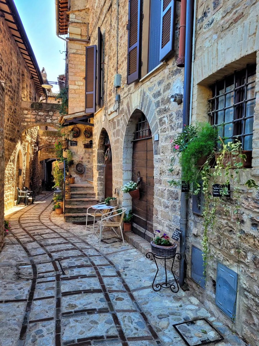 Alesscalafiori's tweet photo. Ci sono borghi che fioriscono anche d' inverno. Spello è uno di questi il sole accarezza i vicoli i colori restano vivi la vita scorre lenta tra pietra.💚🤍❤️ https://t.co/TJnPyb5UJI