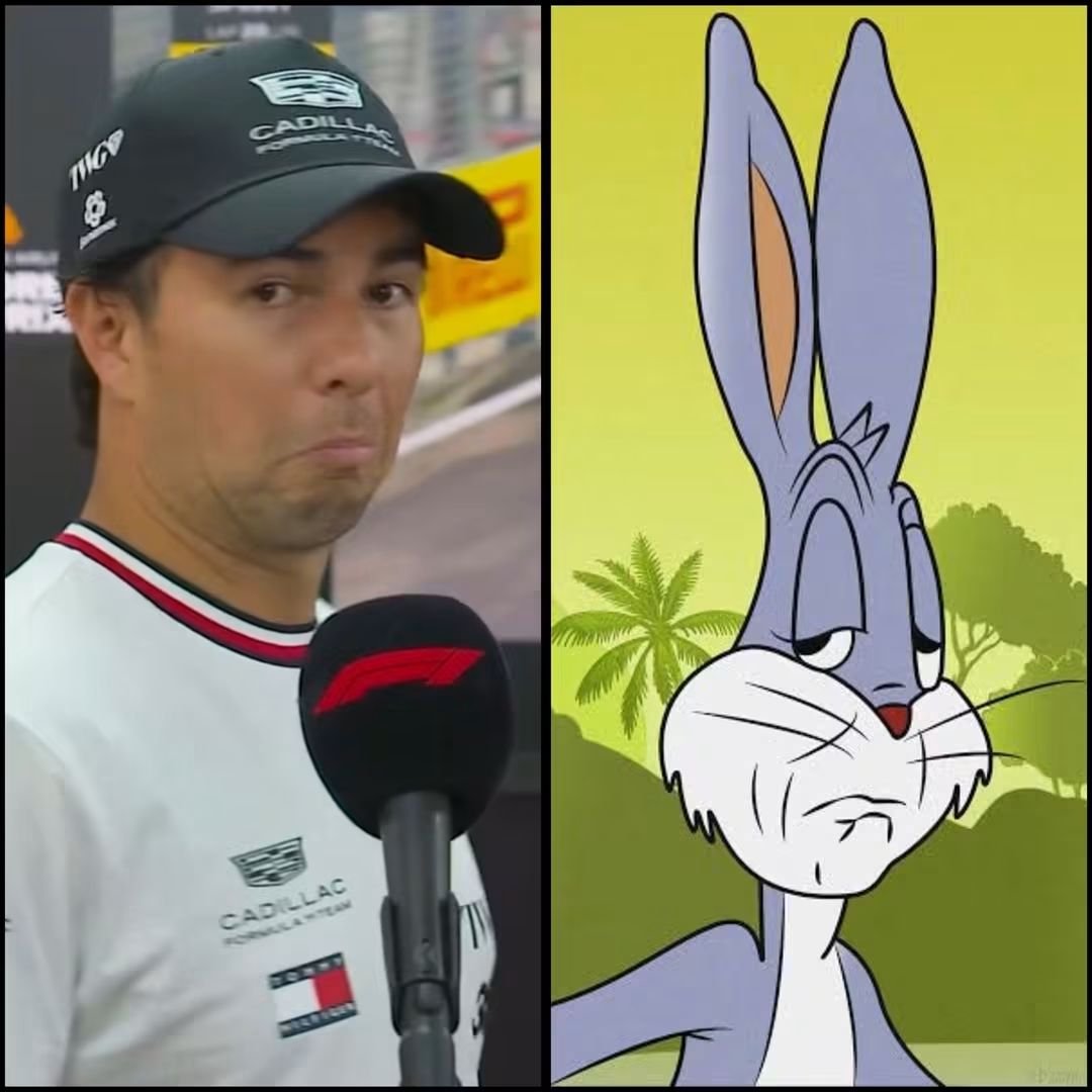lostwithdragons's tweet photo. Encuentra las diferencias 😂🤣😂🤣😂🤣 https://t.co/HnhKkZOY3c