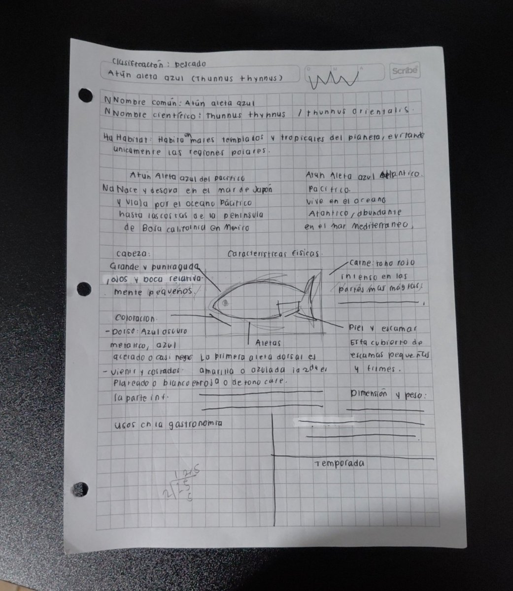 alulphvyr's tweet photo. Que opinan ?
Horizontal o vertical ?
( ´～｀) https://t.co/Vnt97gjZ5m