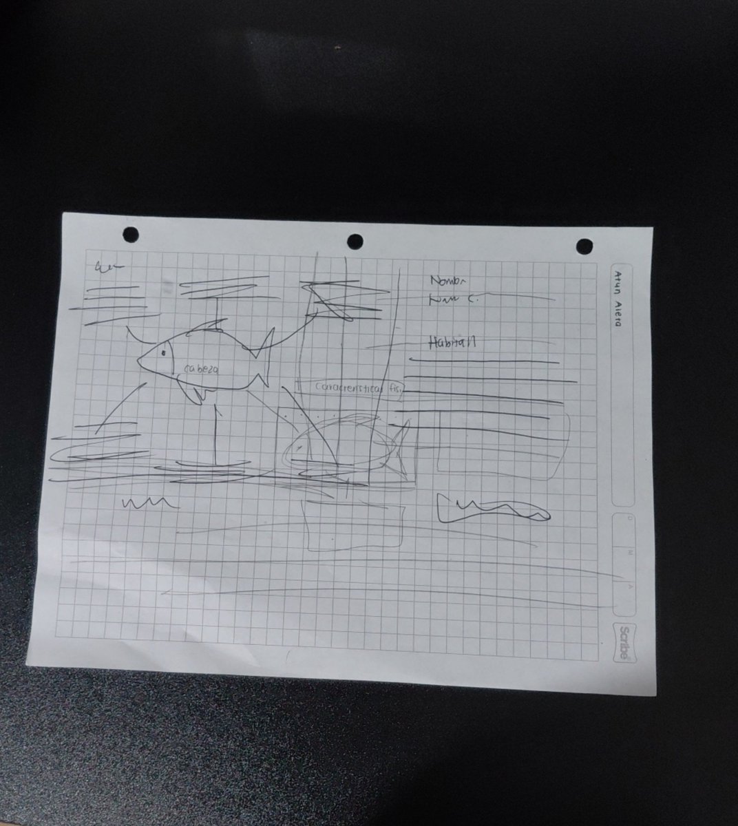 alulphvyr's tweet photo. Que opinan ?
Horizontal o vertical ?
( ´～｀) https://t.co/Vnt97gjZ5m