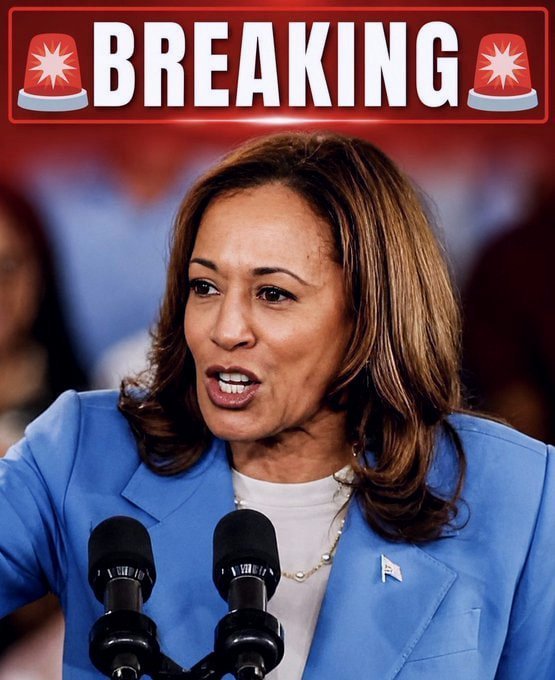 Sheldwhitehouse's tweet photo. 🚨BREAKING: Kamala Harris is leading both Vance and Rubio in a new 2028 presidential poll!

Do you believe this poll?

1. Yes
2. No https://t.co/qSDi0erX9k