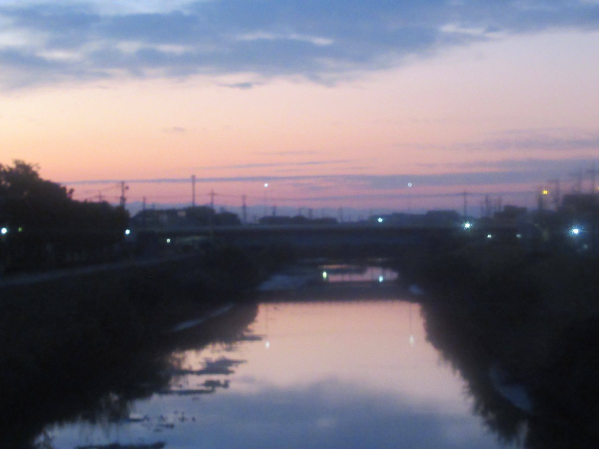 gitanotomo tweet picture