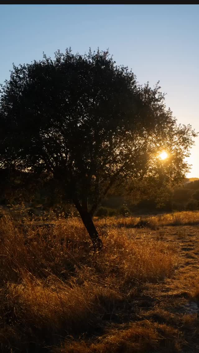 xTomKaulitz's tweet photo. September 2025, Portugal. Thank you for the beauty, inspiration, and love. https://t.co/lNw5ABGH4z