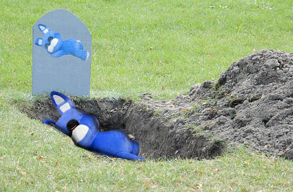RattyCheeze's tweet photo. Sleepy Bonnie was a great friend, companion, and sleeper… The last thing he told me was, “I’m tired”. I should have never let him close his little eyes… He’ll forever live in our hearts as the best sleeper of our time… 
Rest in peace Sleepy Bonnie.. https://t.co/bzyP1gcItr