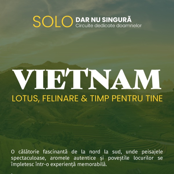 Claudiapetter's tweet photo. Circuit în Vietnam pentru femei: de la Hanoi și Halong la Hoi An, Mekong și Ho Chi Minh City. Cultură, gastronomie, croazieră, ateliere locale, relaxare și experiențe autentice într-un grup restrâns. https://t.co/pnObaEf0XL
