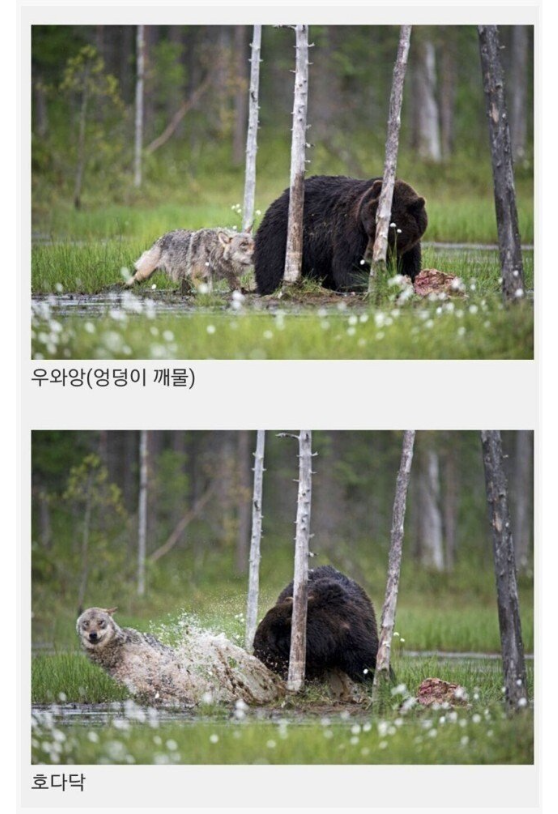 laterinfo_'s tweet photo. 디즈니는 현실에서도 있구나.. https://t.co/QEdhEJ6hxQ