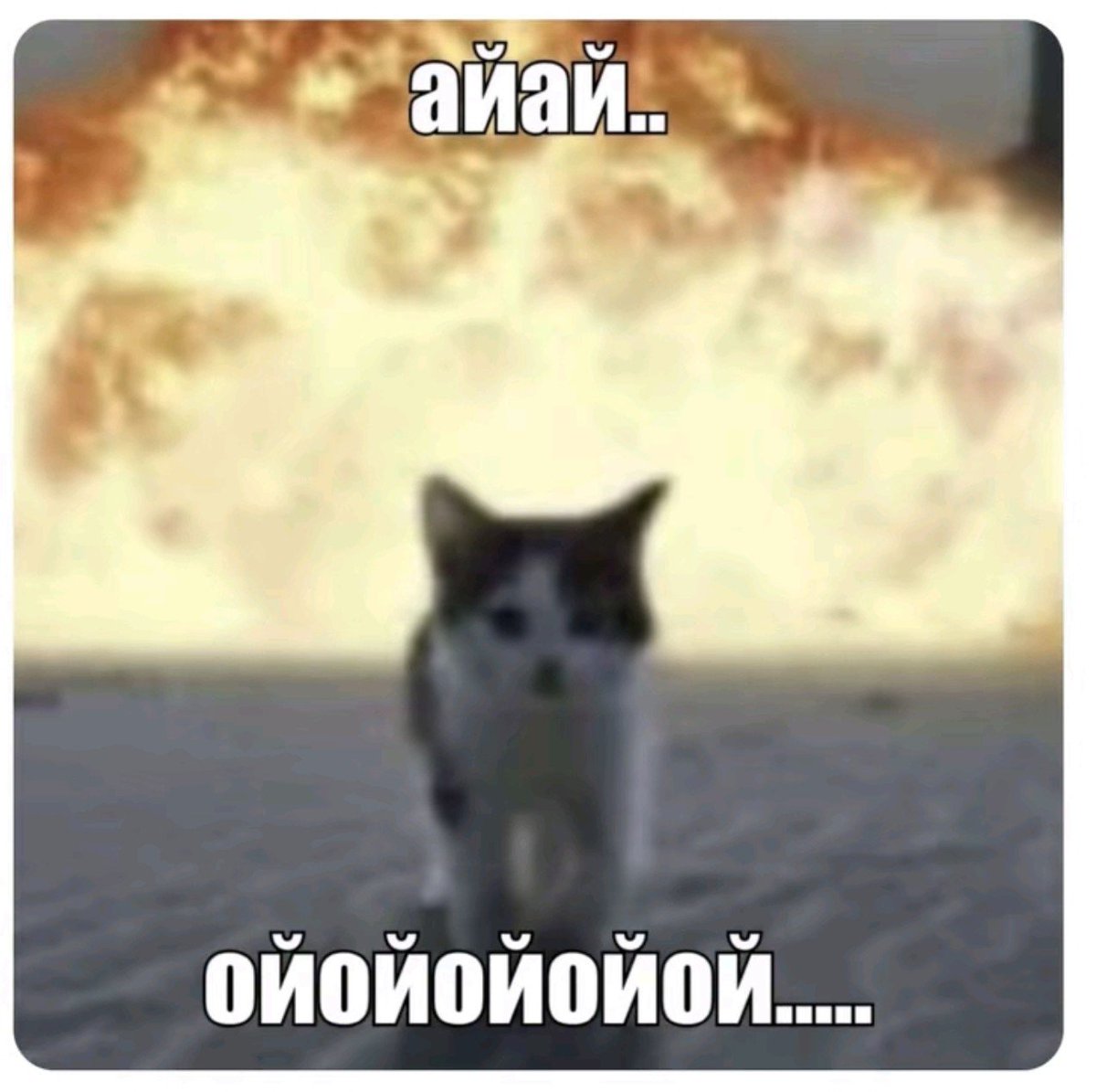 Nicky_stay8's tweet photo. Не знаю как вы,но я считаю,что мы русские арми омеги 🇷🇺,а мексиканские арми альфы 🇲🇽 https://t.co/5EFQmincGa