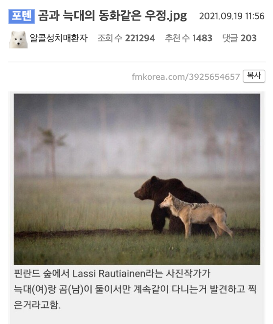 laterinfo_'s tweet photo. 디즈니는 현실에서도 있구나.. https://t.co/QEdhEJ6hxQ