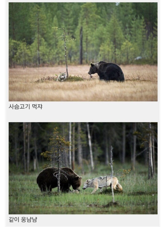 laterinfo_'s tweet photo. 디즈니는 현실에서도 있구나.. https://t.co/QEdhEJ6hxQ