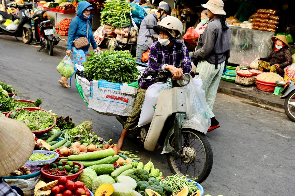 madson2010's tweet photo. Fresh from the farm to Hoi An market before sunrise. https://t.co/1HCLtS0vfJ