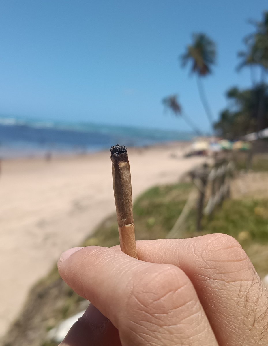 regulus75's tweet photo. A vibe de lei 🌊🍁 https://t.co/u9rJjVculs