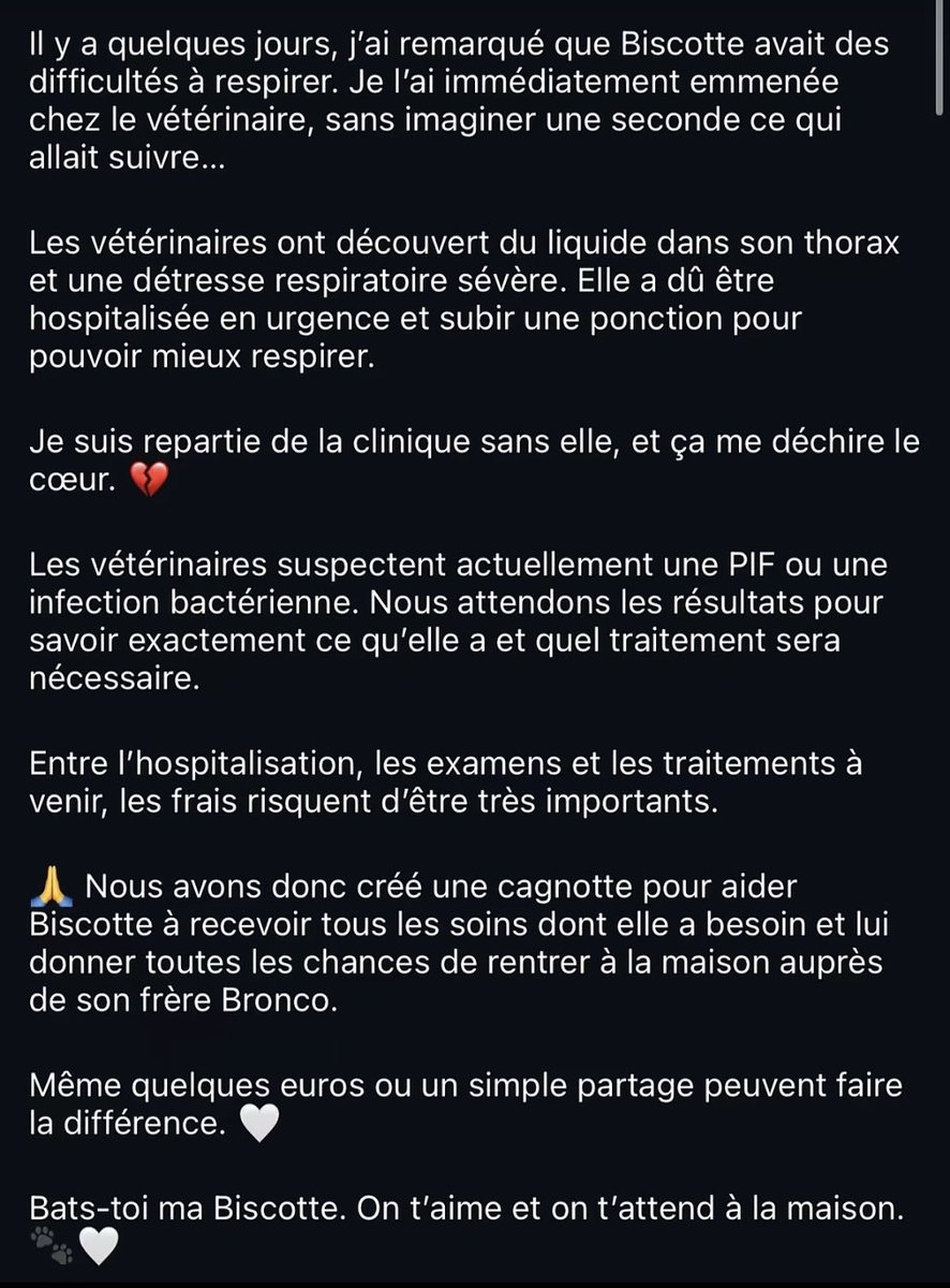 margothubaut's tweet photo. Nous avons besoin d’aide pour sauver notre bébé 🥹❤️

https://t.co/FlqrIiVLkN https://t.co/2NjNjRpR47