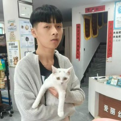 PhaedraXTeddy's tweet photo. Don't fall for the myth that 🇨🇳🇨🇳🇨🇳Chinese 🇨🇳🇨🇳🇨🇳 are so intelligent. These 17 year old 🇨🇳s are adopting those cats to t*rture, maybe the most common Chinese thing to do in 2026. https://t.co/L1r9K0phLD