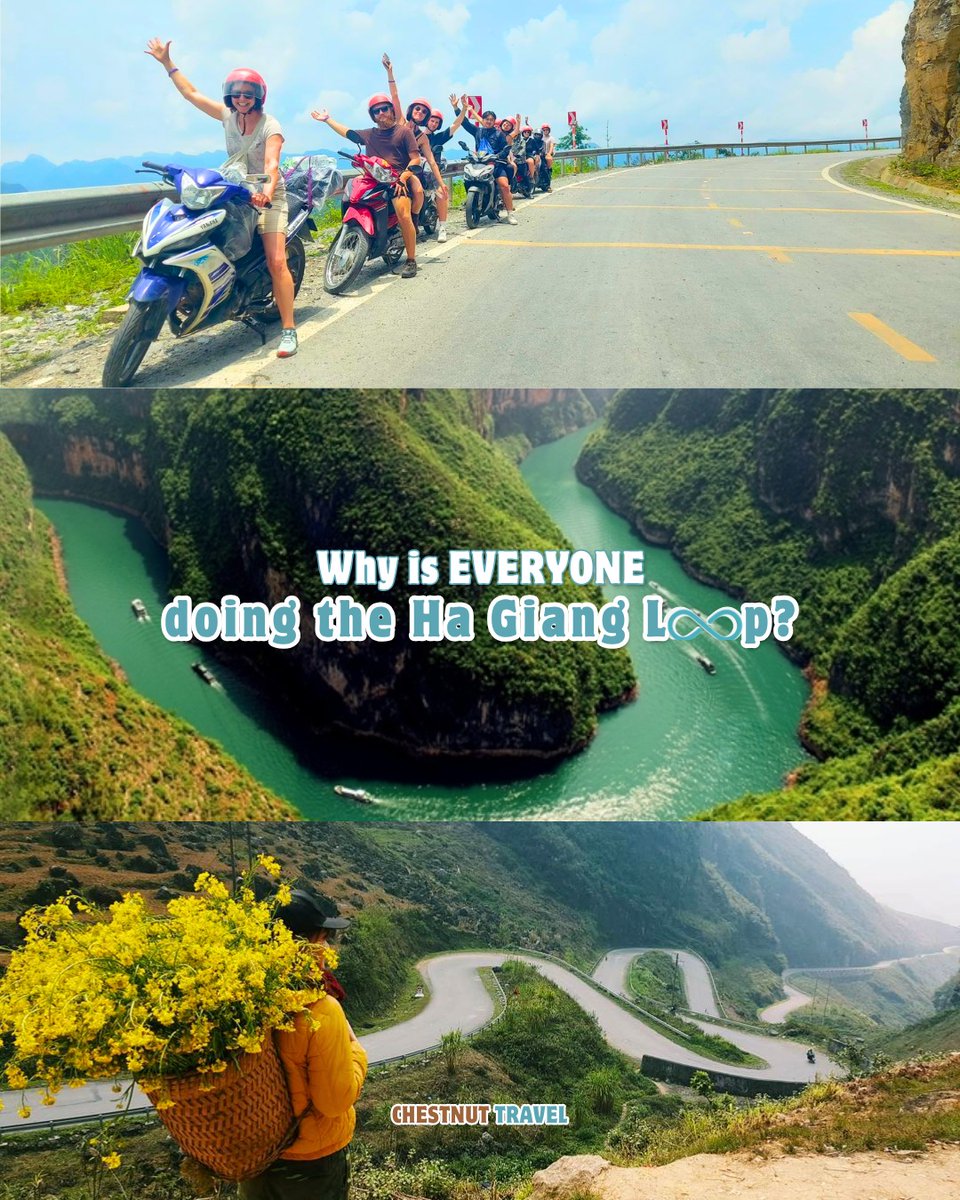 Thyta7's tweet photo. Discover the Hà Giang Loop with expert Easy Riders, breathtaking scenery, rich culture, and authentic local cuisine. Plan your unforgettable Vietnam adventure with Chestnut Travel. https://t.co/7nqjRQwg9A