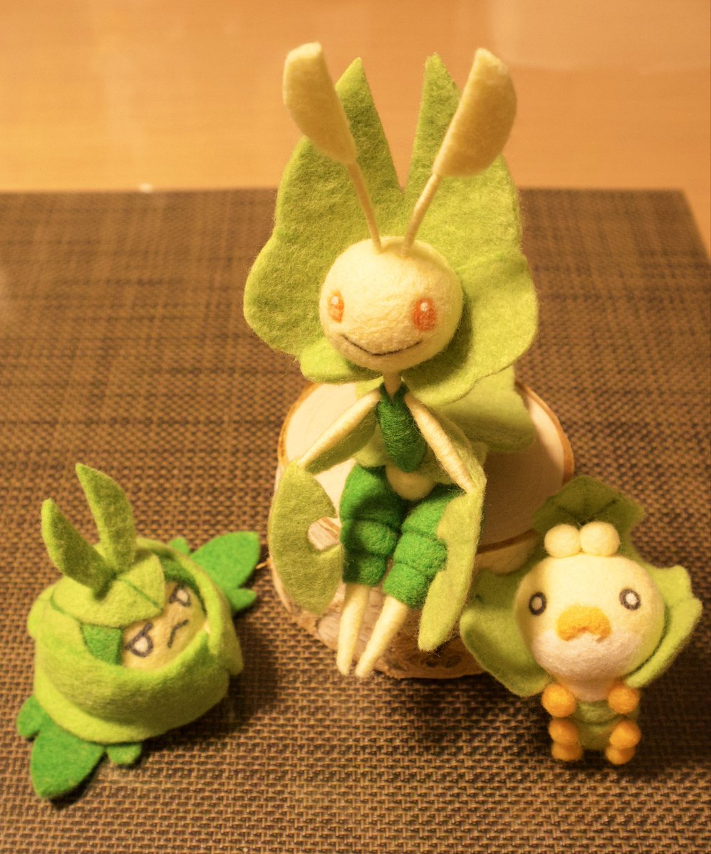 bunilla_labo's tweet photo. ファミリー🌱 https://t.co/sCiWeLbJ7F