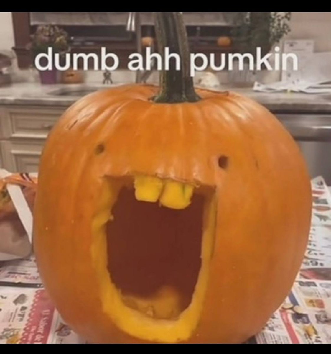 talkingthomasto's tweet photo. castrate and throw acid at my face if this isn't a genny narra

halloween is coming up and we've sent like 30 forced narras to 6-7 figs

we need to send a funny meme on dividends for halloween that will attract normies

this dumb ahh pumpkin has legit been going viral all over X with 4m views in 24h