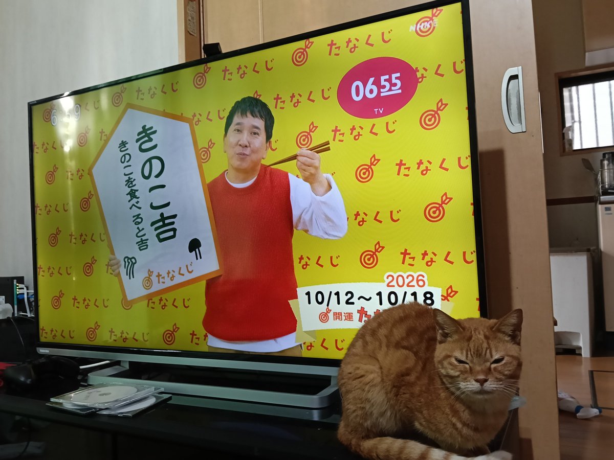 tike_tikecat's tweet photo. 🍄鍋もイイネ👍
おはようございます😊 https://t.co/Pn3VhTQlaQ
