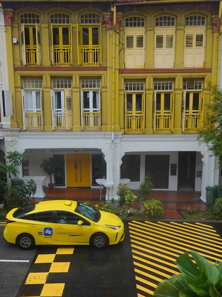 MUVIVIC's tweet photo. The yellow on the street. https://t.co/IMAxZbxSAR