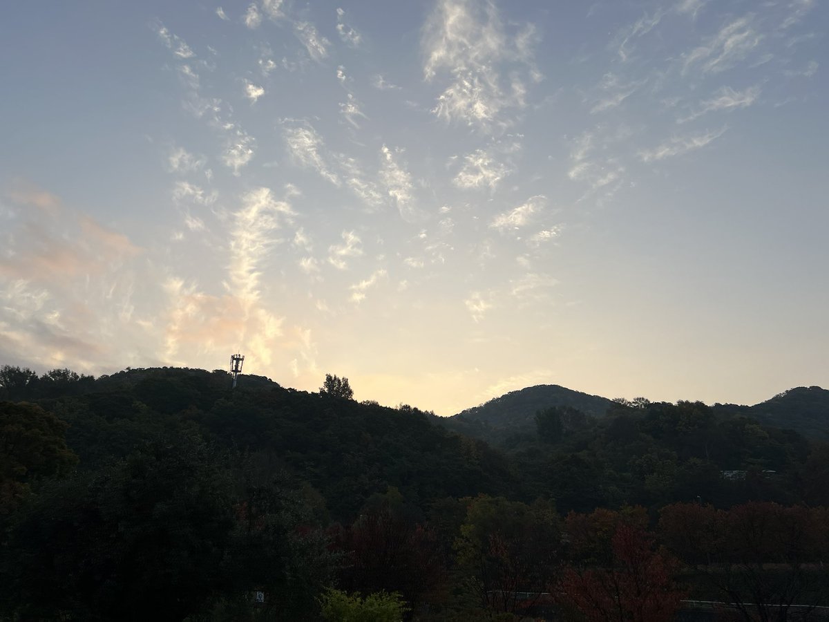 majorinko's tweet photo. 朝んぽ🐶🍂🍁 https://t.co/e3YoSpoAdw