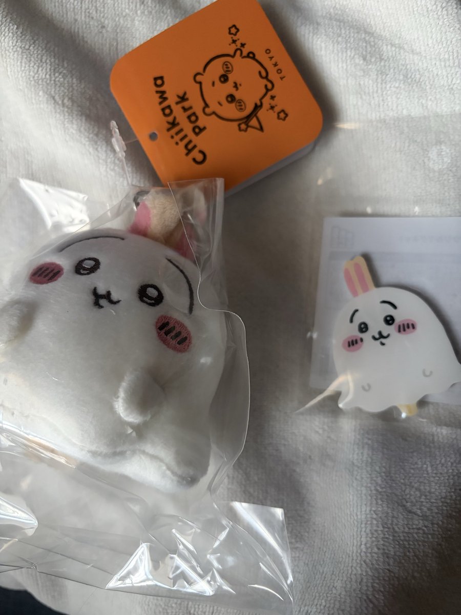 chikatsu24's tweet photo. ちいマから
やっと届きましたᘏ₍ᐢ. .ᐢ₎ᘏ
かわいいねうさたん₍ᐢ.̫.ᐢ₎♡🎃👻😈
#ちいかわ https://t.co/YndPAXeUGG