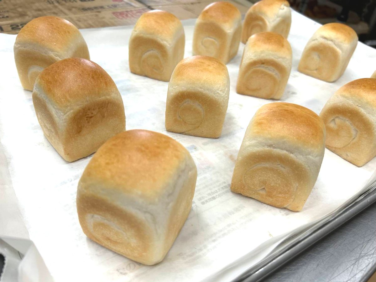 BreadPlusTO's tweet photo. 富山県高岡市からおはぷらすです！

月曜日！(ง ′ω′)ว祝日ですねっ！
いつもなら定休日ですが祝日は営業ですッ！

野菜がお高い日が続き泣きながら仕入れしてますが天候にも左右される野菜たちを一生懸命作ってくださる農家さん達に感謝して大事に使わせていただきます！

ブレプラ8時オープンです！ https://t.co/cwekIj4OMt