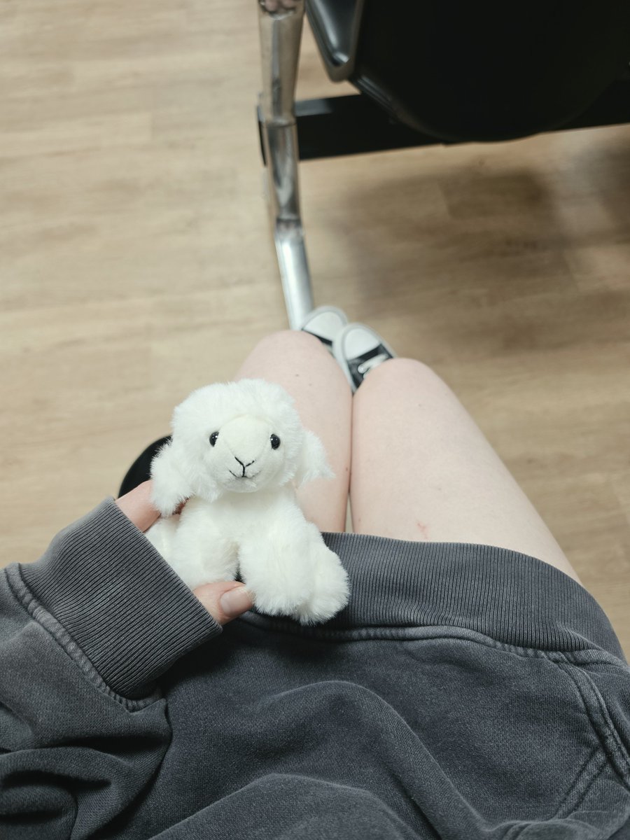 The_Bunny_Doll's tweet photo. Lost track of the amount of hours I've been waiting in A&amp;E but at least I have my lil lamb friend to keep me company <3 https://t.co/xDW0PdMiGd