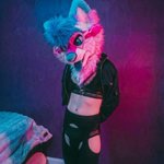 Photo by Shinzu (@ShinzuFoxx)