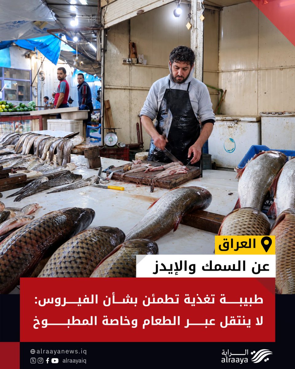 allrayah1's tweet photo. طمأنت طبيبة التغذية زينة البياتي المواطنين بشأن انتقال فيروس العوز المناعي عبر أكل السمك، مؤكدة بعد جدل رمي النفايات الطبية في نهر دجلة بأن الفيروس لا ينتقل عبر الطعام والشراب وخاصة الأكل المطبوخ. https://t.co/upC4zXlYet