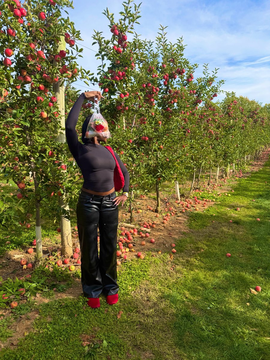 ManeRilan's tweet photo. #ApplePicking ๐๐ https://t.co/shfytWWVEl