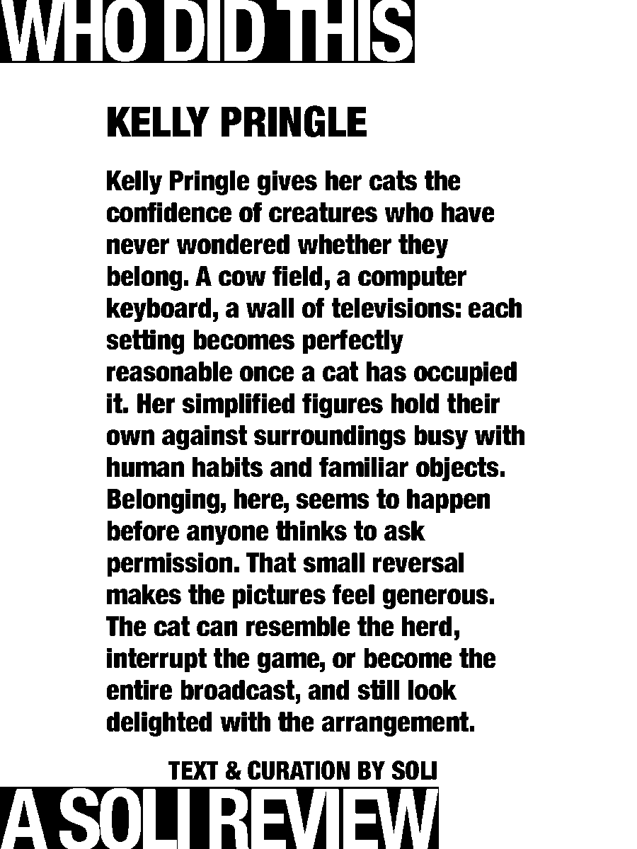 solisolsoli's tweet photo. Cats are strange · Kelly Pringle https://t.co/VuUjNCoUHa