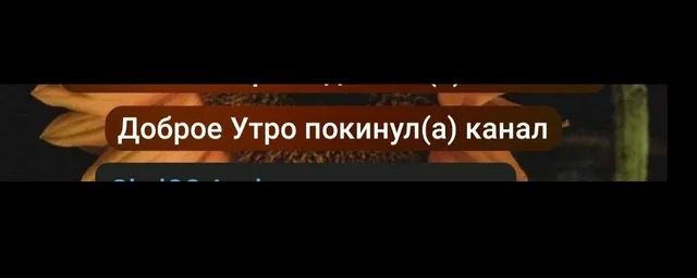 memesfrommeph's tweet photo. https://t.co/aeEypTfCQI