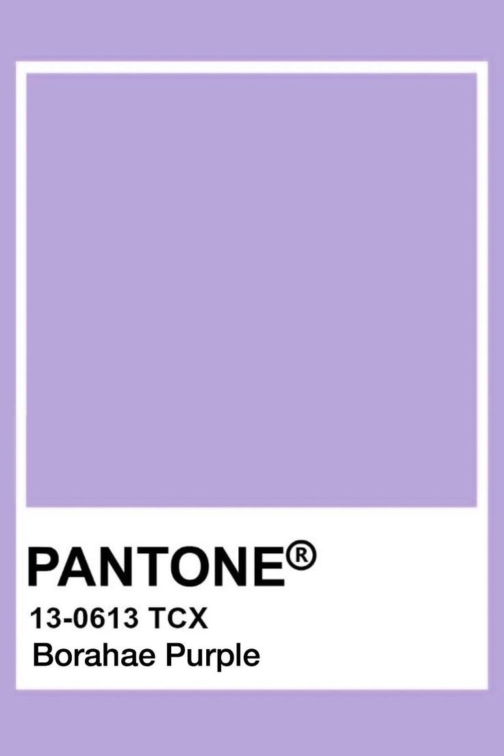 SentiTheGreat_'s tweet photo. how pinterest sees me.

- fashion 
- pantone 
- mood 
- food https://t.co/e5jk2qboPa