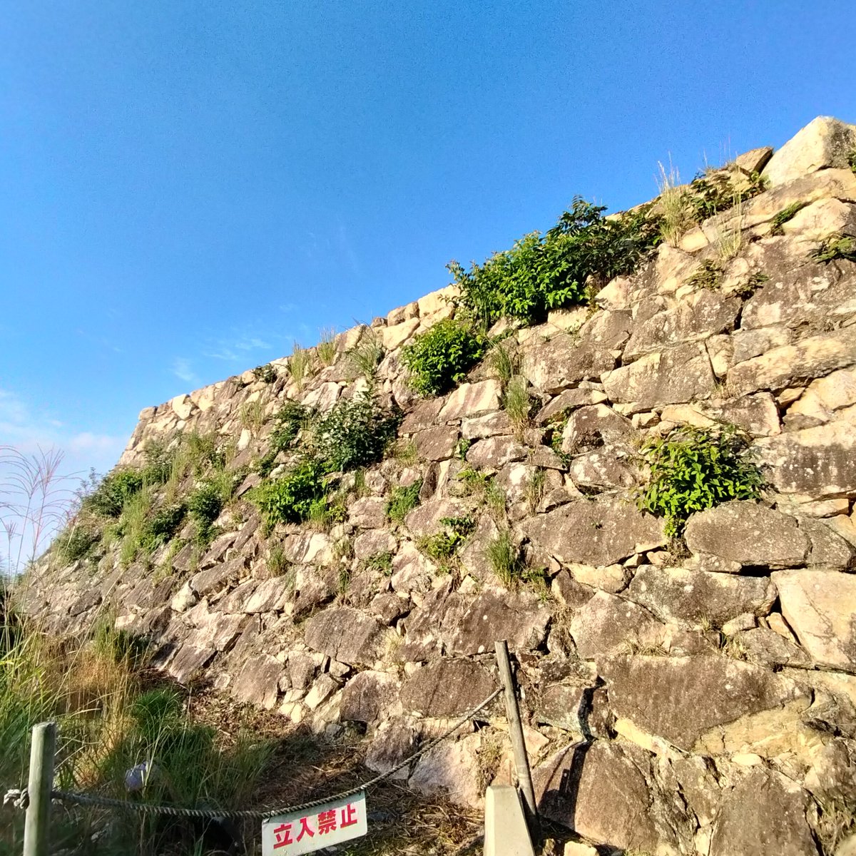 CastleTamoshi's tweet photo. 今さらながら
竹田城の魅力は
織豊系の石垣かと
実感💞 https://t.co/rbvhZtz2lV