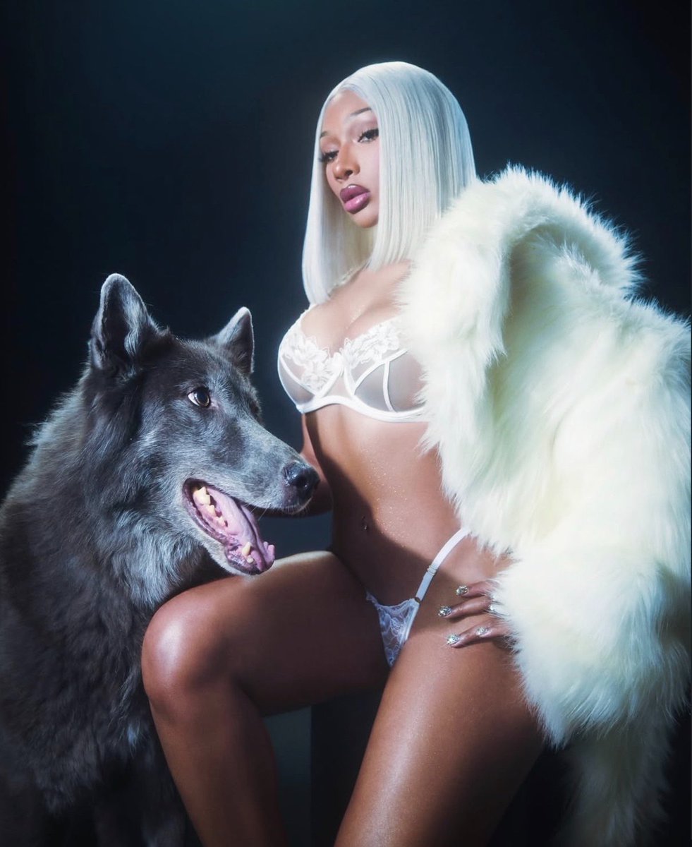 SpookySznBtch's tweet photo. 🐺❄️ https://t.co/dZUaKX0iK7