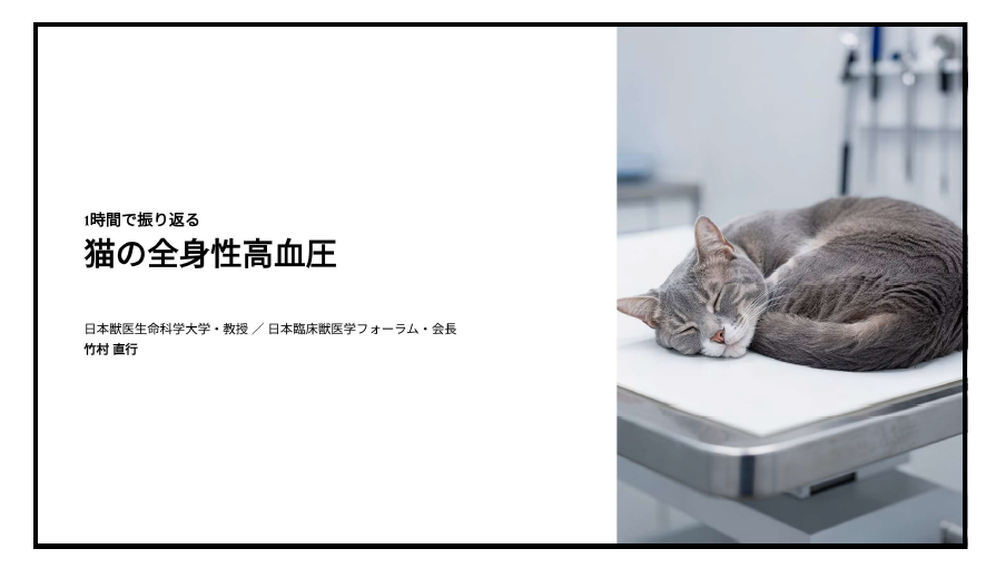 最新　猫の臨床医学 猫の高血圧について ～勉強会で得られたもの～ | 獣医師 山本 健二