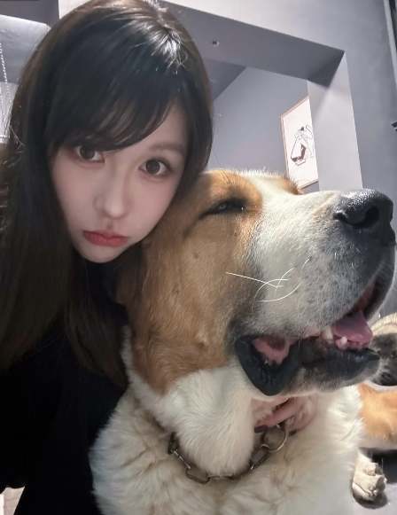 Quatarll's tweet photo. 带他在镜子面前摸，他想揉胸，我直接掏出来对镜，一手撸他一手捏自己，给他看眼红了，上手就是一顿揉，边揉边亲。他坐床上给他口，边口边看他，但是没套套，我硬是坐上去了，给我插的嗷嗷叫，最后射给我了  #宁波    #女大  #反差 https://t.co/e0dQdBYaDp