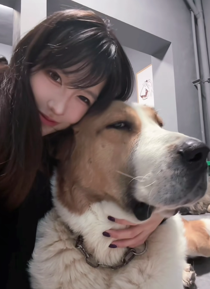 Quatarll's tweet photo. 带他在镜子面前摸，他想揉胸，我直接掏出来对镜，一手撸他一手捏自己，给他看眼红了，上手就是一顿揉，边揉边亲。他坐床上给他口，边口边看他，但是没套套，我硬是坐上去了，给我插的嗷嗷叫，最后射给我了  #宁波    #女大  #反差 https://t.co/e0dQdBYaDp