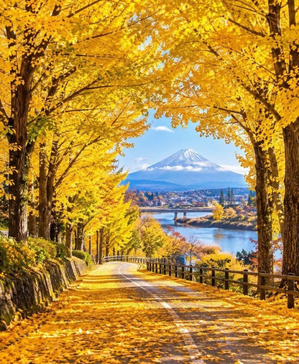 Loveyouchoti's tweet photo. Good morning X-Friends…🌷☕️
Have a happy Monday and a beautiful new week 🏘️🌳☀️☁️🌊💦🩵🤍💙

#MondayMorning 🌷 #CoffeeTime ☕️ #NatureBeauty 🌳 #HappyNewWeek 🌤️ #StayPositive 💙 #PeaceAndLove 🕊️ https://t.co/nKDafYlSaB