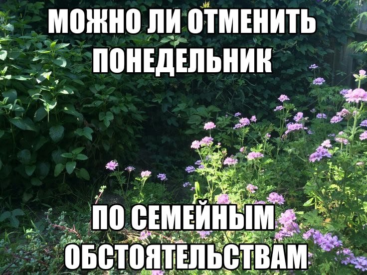 doristzz's tweet photo. онет опять понедельник https://t.co/1rFXuqSfaP