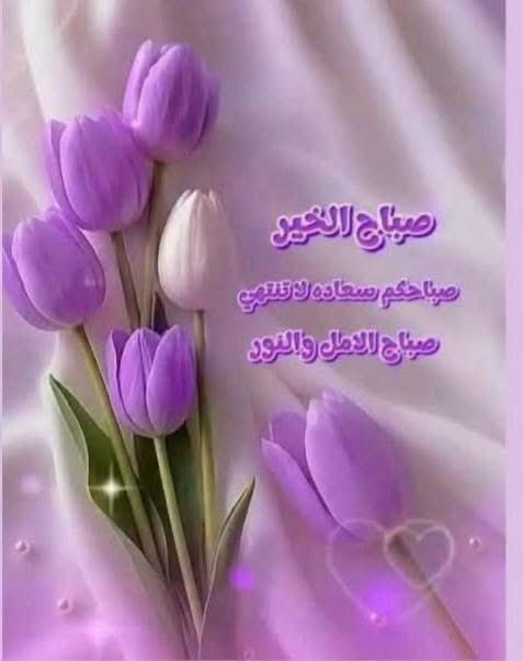 nayyer19's tweet photo. @ZainZain1234ww https://t.co/NO9D7xPOwd