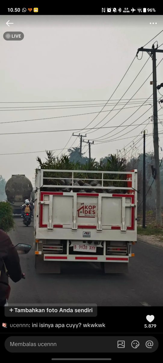 LambeSahamjja's tweet photo. terpantau truk untuk kopdes sedang mengangkut jenis tanaman kesayang presiden kita https://t.co/hsl5zI6gpA