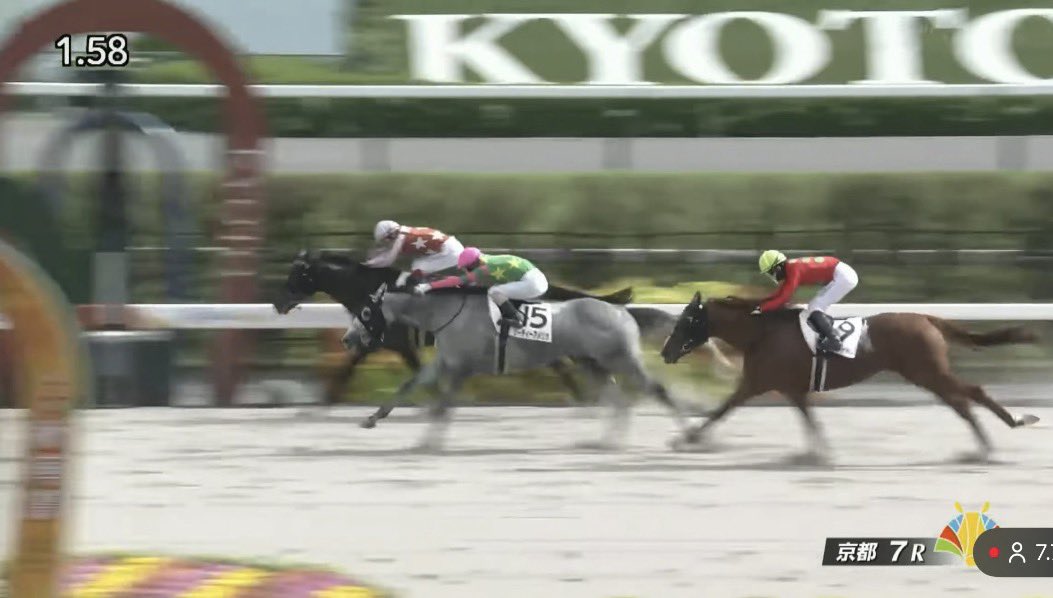 999co_horse's tweet photo. 10/12 月曜日

京都7R  3歳以上1勝クラス
アレンスター号🏅

関係者の皆様おめでとう御座います。

#アレンスター 号
#KHレーシング 様
#庄野靖志厩舎 様
#浜本牧場 様 https://t.co/FMI5LvMet7