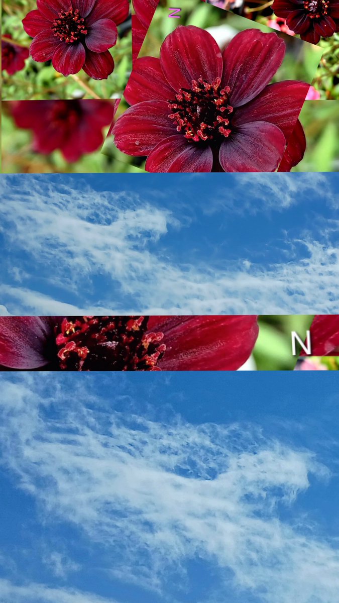 TCE9DlUTiBSxEdI's tweet photo. こんにちはです
(◕▽◕)🌺🌿
時々強い雨☔降るさぁ
午後からお見舞い
行って来ます
雨よやめぇ～っ(˶ᵔᗜᵔ˶)
良い午後でありますようにです🐦✨(◕᎑◕ฅ )✧ ♡
先日の写メです https://t.co/YFKSy5dpwo