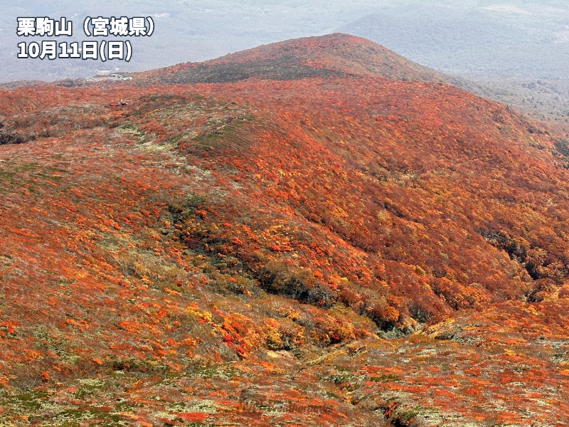 wni_jp's tweet photo. 【三連休で紅葉登山を楽しむ】
天気に恵まれたこの三連休は紅葉を見頃を迎えた山で絶景を楽しまれた方も多かったようです。
https://t.co/c3W0iBOxp6 https://t.co/wiCA7S79yY