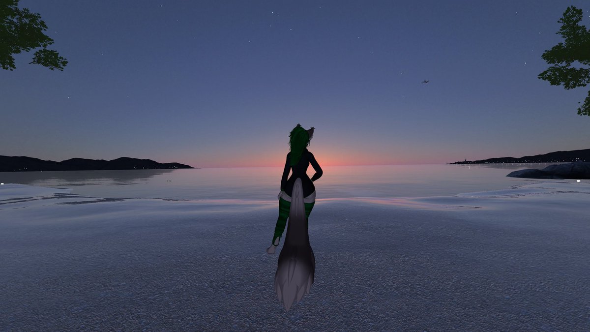 Puppy_636's tweet photo. Hii 🐾 #intro I'm Jay or puppy, new to nsfw.
I play vrchat, dm to hang out
She/her {18 but love older men}
DMS open
Bi with a genital preference (love dick)
#puppygirl #nsfw #nsfwtwt #furry #vrchatnsfw https://t.co/ADYb4QZ8XW