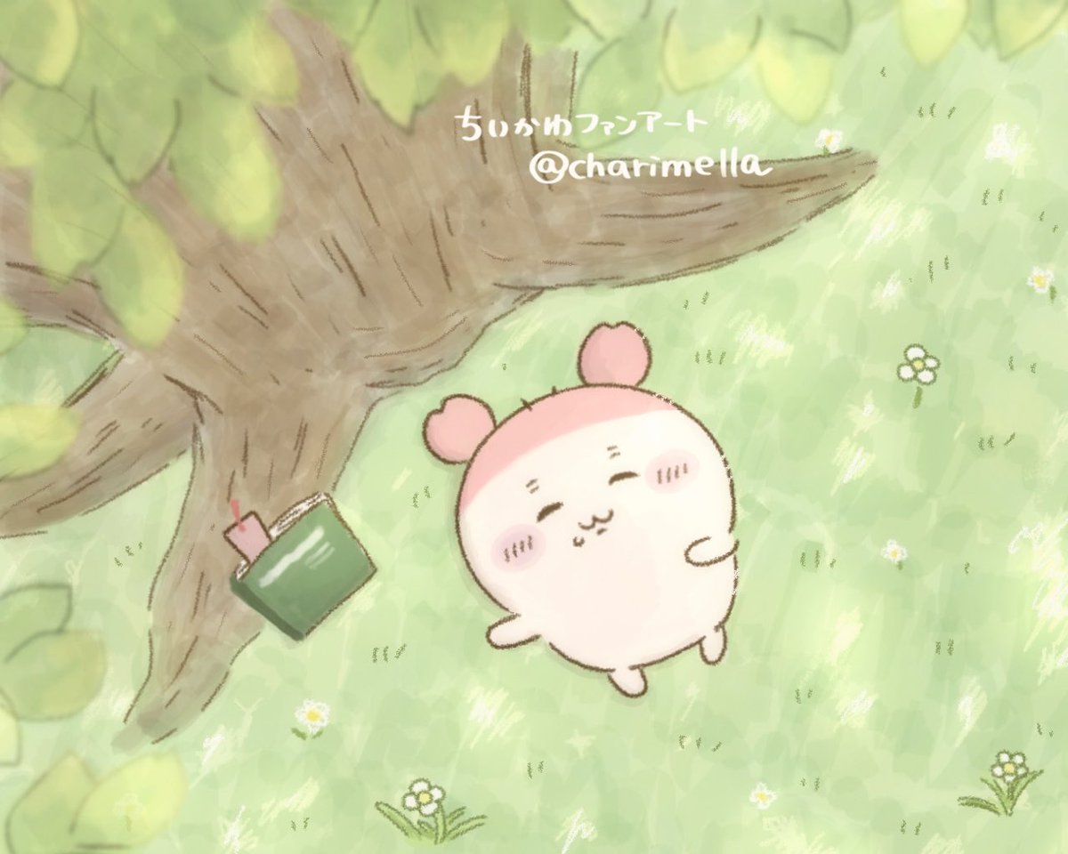charimella's tweet photo. ｽﾔﾋﾟ…🍃 https://t.co/srdPCCtk9b