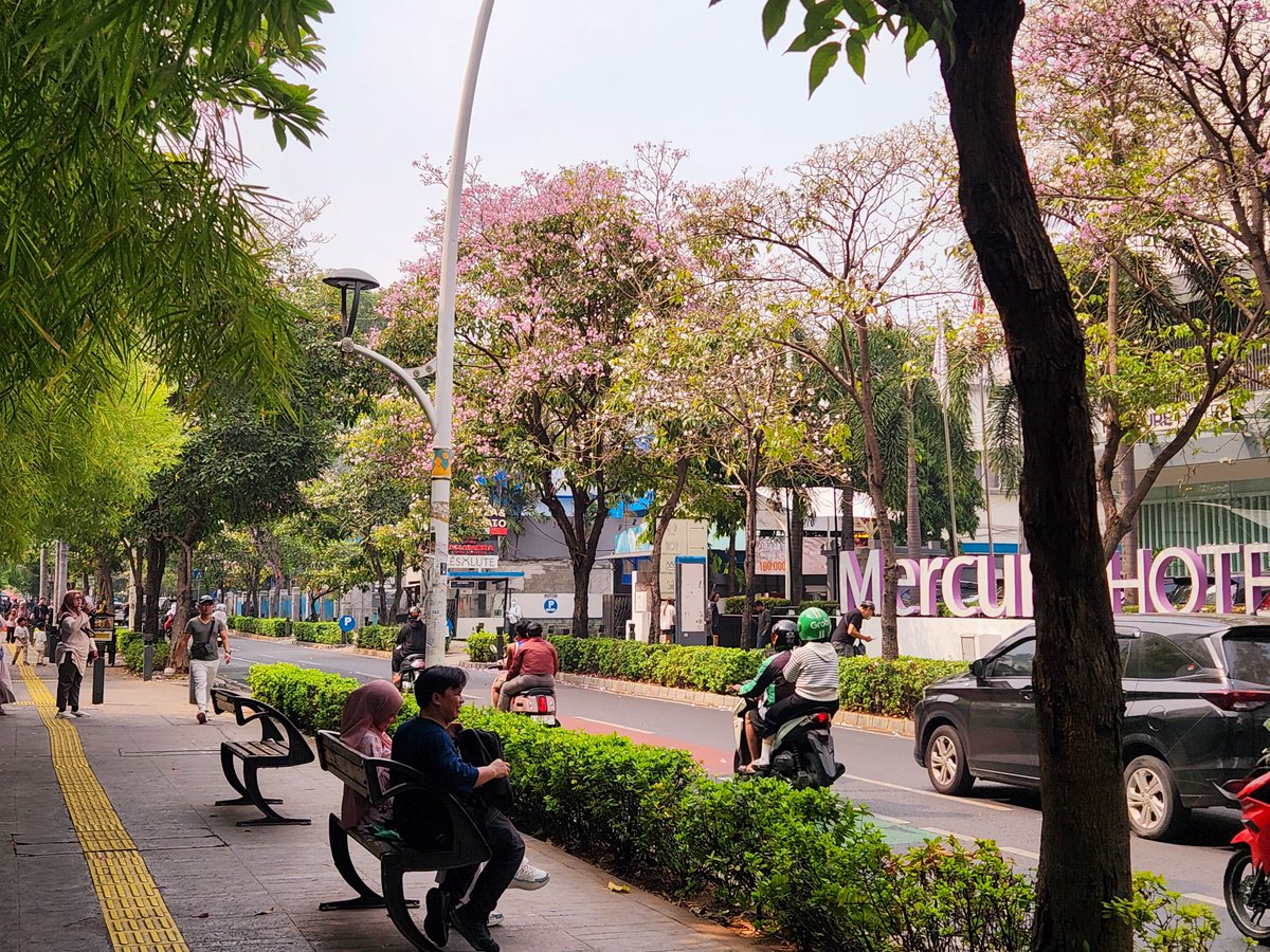 DamonDaleel's tweet photo. everybody run to cikini sekarang juga https://t.co/V80hWh0SGA
