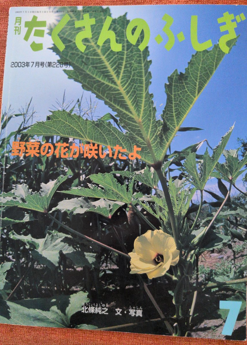 dosankosapporo's tweet photo. 野菜の花が咲いたよ(2003年7月号)
野菜そのものは見たことあっても、野菜の花は見たことないという人も少なくないのでは？
私はアスパラガスの花が好きです
小さくて可憐！

最後の「野菜を食べることは野菜の命をもらうこと」は肝に銘じておくべき言葉でした
#たくさんのふしぎを片っ端から読む https://t.co/7tWKeuYZPO