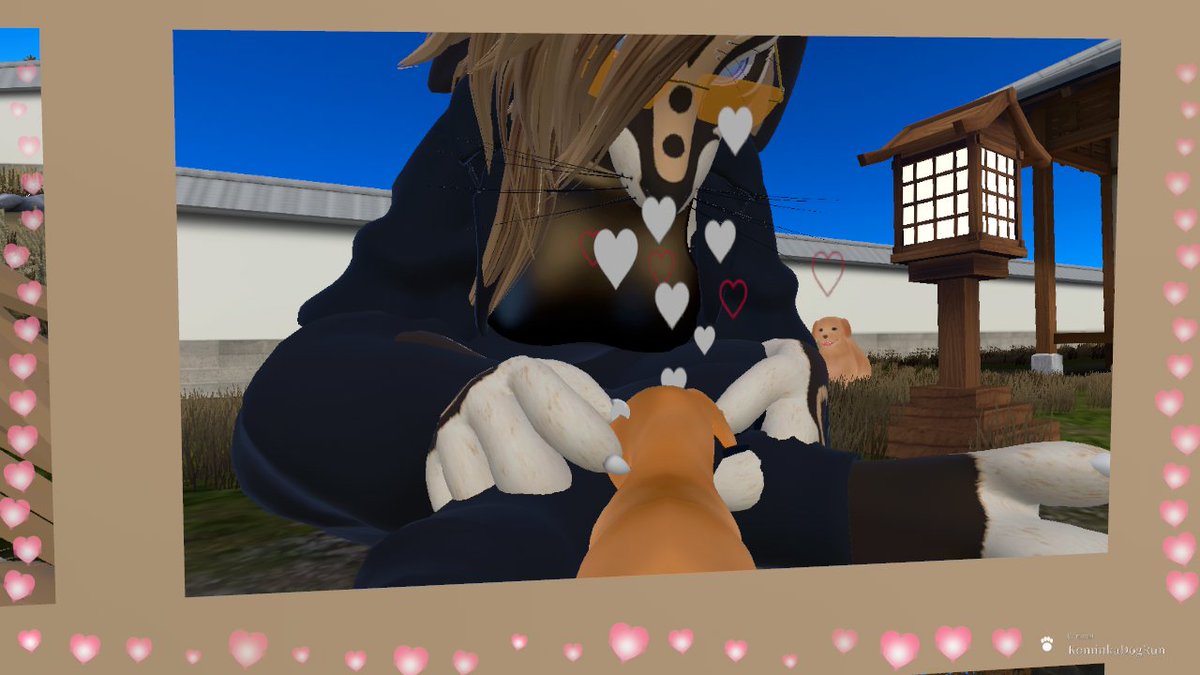 RubyThePuppyGir's tweet photo. First sfw post just having a fun chilling relaxing time petting dogs #sfw #vrchat #rex #dogs #petting #cute #adorable https://t.co/TjpbzqH3zp